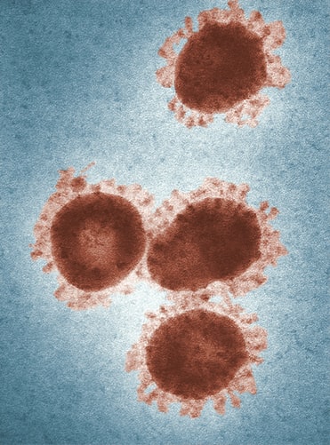 Emergenza Coronavirus