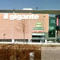 il gigante offerte lavoro bologna