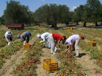 incentivi lavoro agricolo 2014