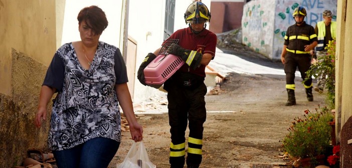 terremoto amatrice offerte lavoro