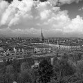 mercato del lavoro torino