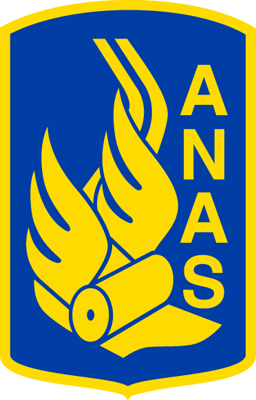 anas spa