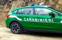 Arma dei Carabinieri