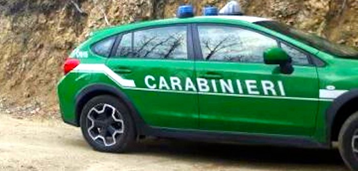 Arma dei Carabinieri