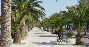 Comune San Benedetto del Tronto