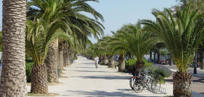 Comune San Benedetto del Tronto