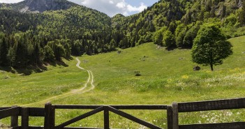 Guardia Forestale: bando per 30 risorse a tempo indeterminato Guardia Forestale