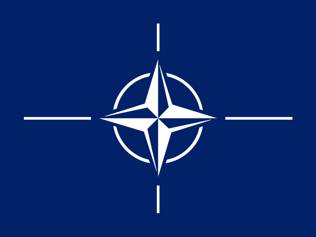 Nato assunzioni