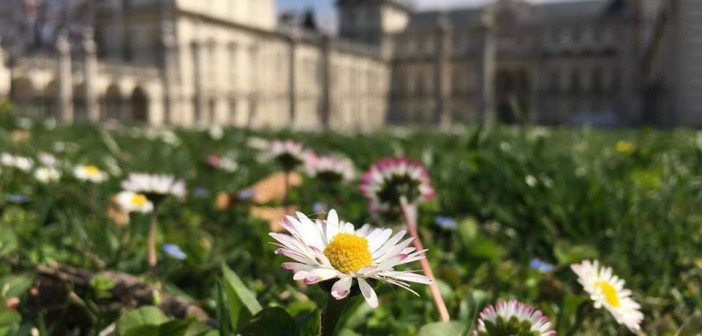 Politecnico di Torino