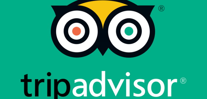 Lavora per TripAdvisor