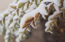 addetti allo sgombero neve