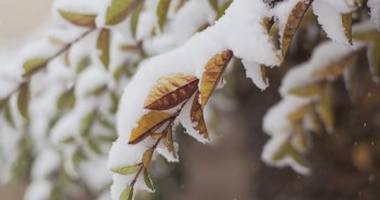 addetti allo sgombero neve