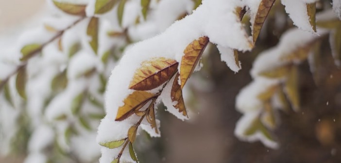 addetti allo sgombero neve