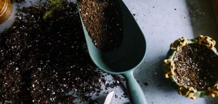 Posti per giardinieri