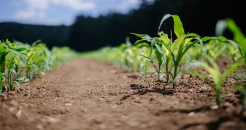 CREA ricerca nuovi operatori tecnici CREA