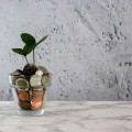 consulenti finanziari