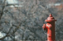 vigili del fuoco