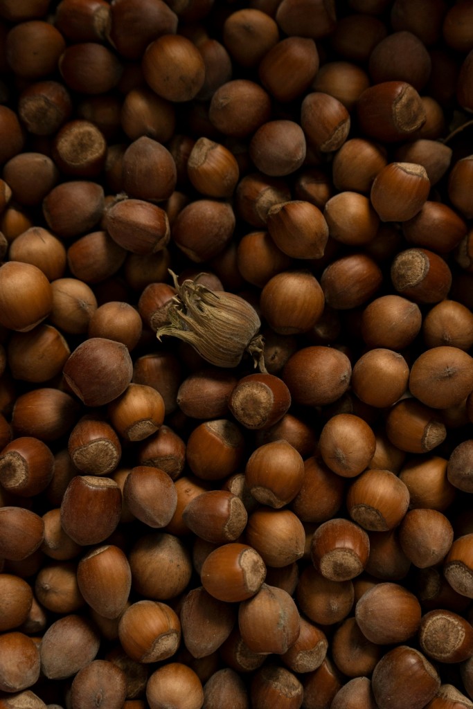 ferrero