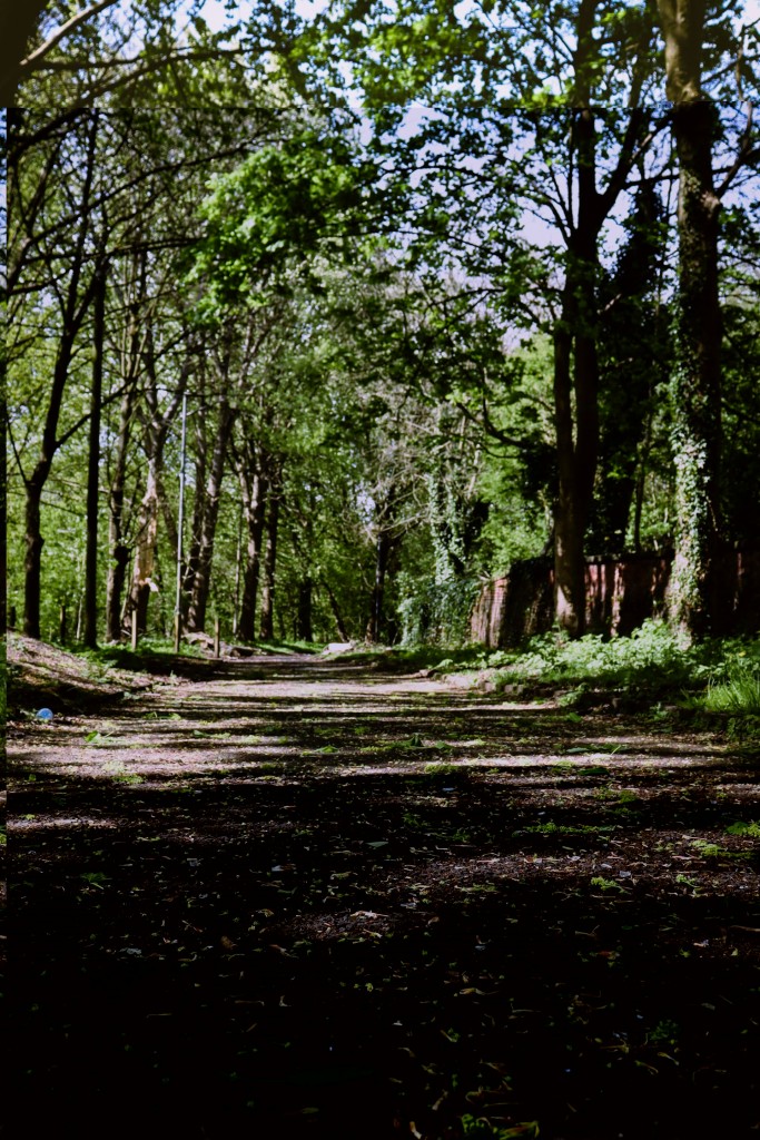 parco nazionale