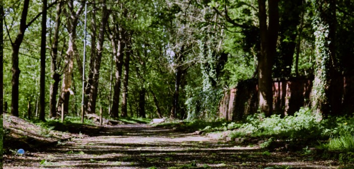Concorso per ausiliari presso l’Ente Parco Nazionale d’Abruzzo