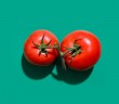 campagna pomodoro