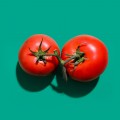 campagna pomodoro