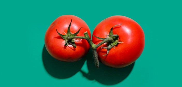 Addette al controllo per la campagna pomodoro 2025