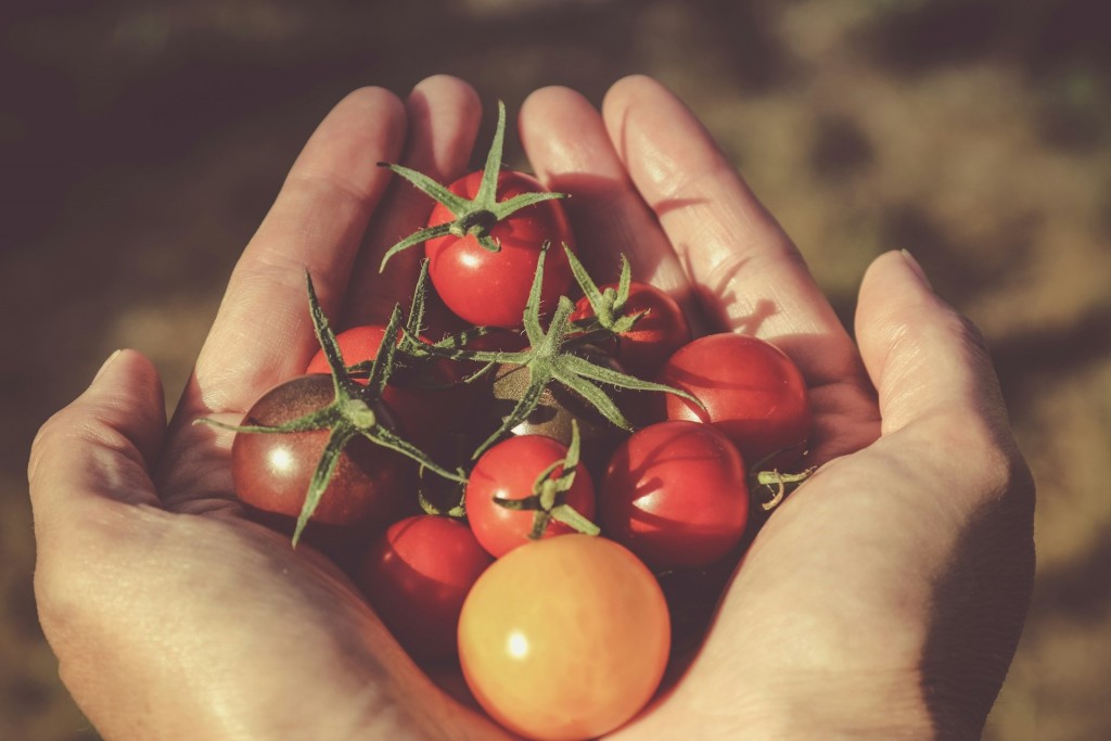 campagna pomodoro